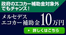 �����Z�f�X�G�R�J�[�⏕��10���~�@�ڂ����͂�����