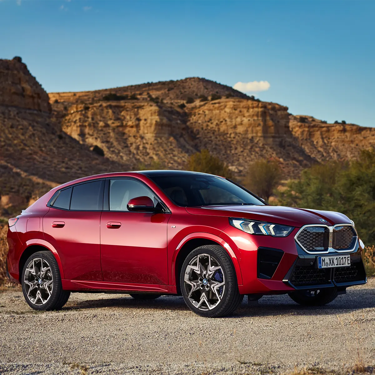 BMW X2