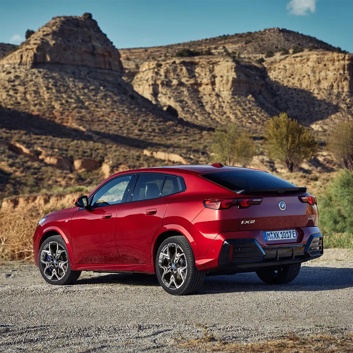 BMW X2