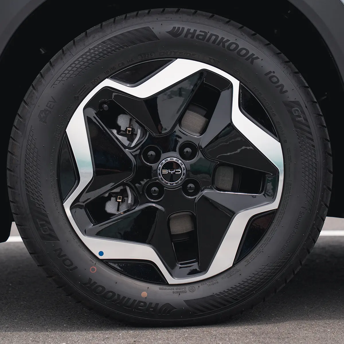 BYD DOLPHIN