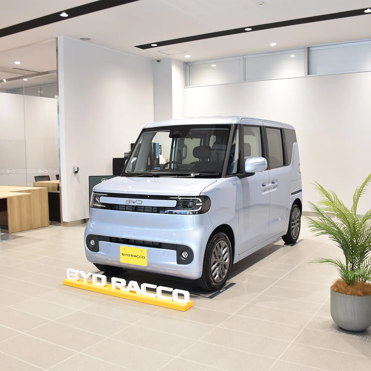 BYD RACCO