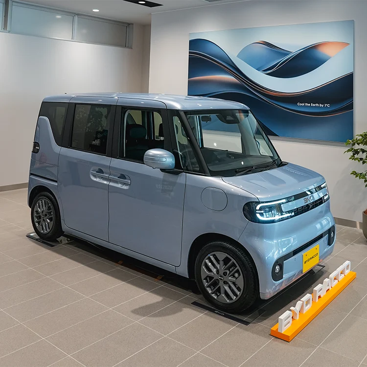 BYD RACCO