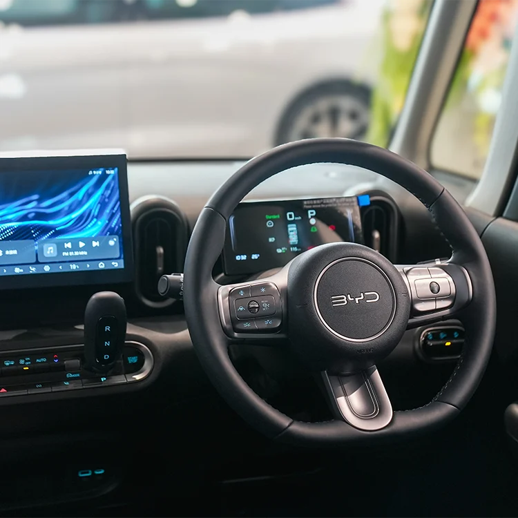 BYD RACCO