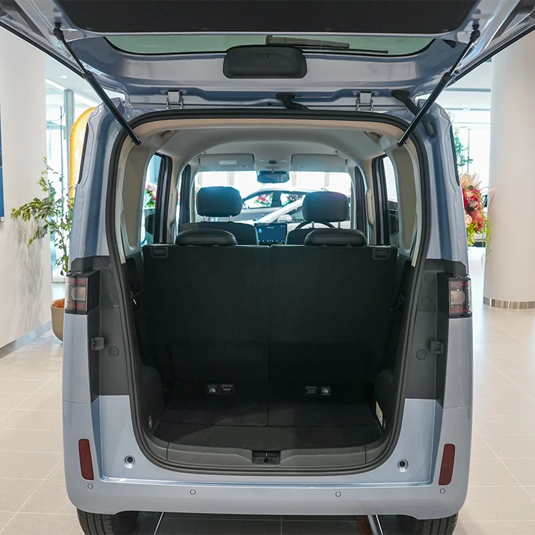 BYD RACCO