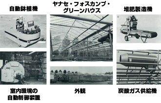 ヤナセと植物工場のパイオニア(1972年～2003年)