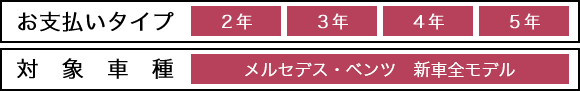 お支払いタイプ　対象車種