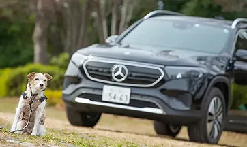 関連記事