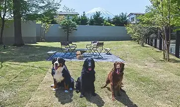 関連記事