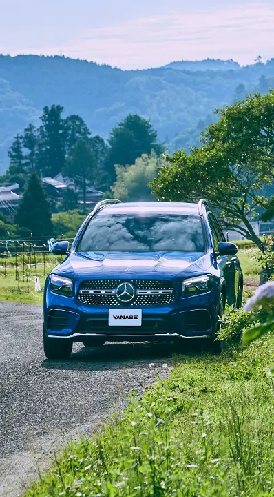 ベンツ 純正 正規 ディーラー インポーター ステッカー 新品 AMG