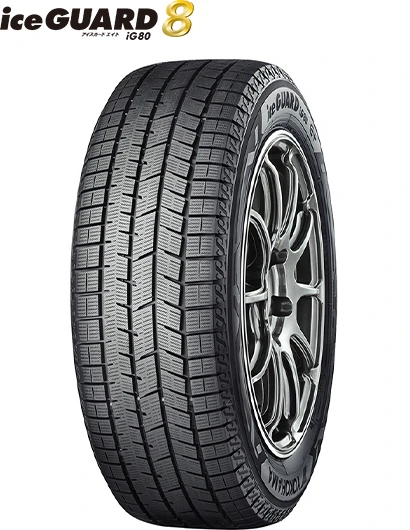 iceGUARD 8 iG80