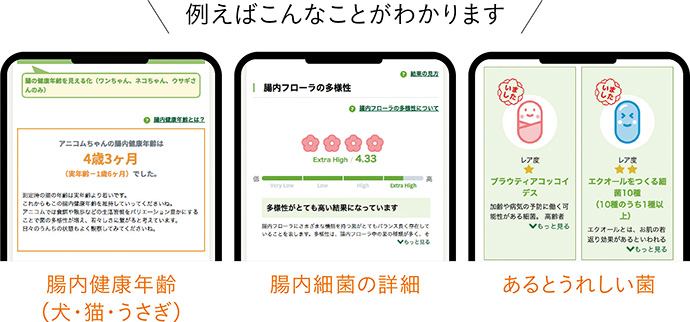 例えばこんなことがわかります 腸内健康年齢（犬・猫・うさぎ） 腸内細菌の詳細 あるとうれしい菌