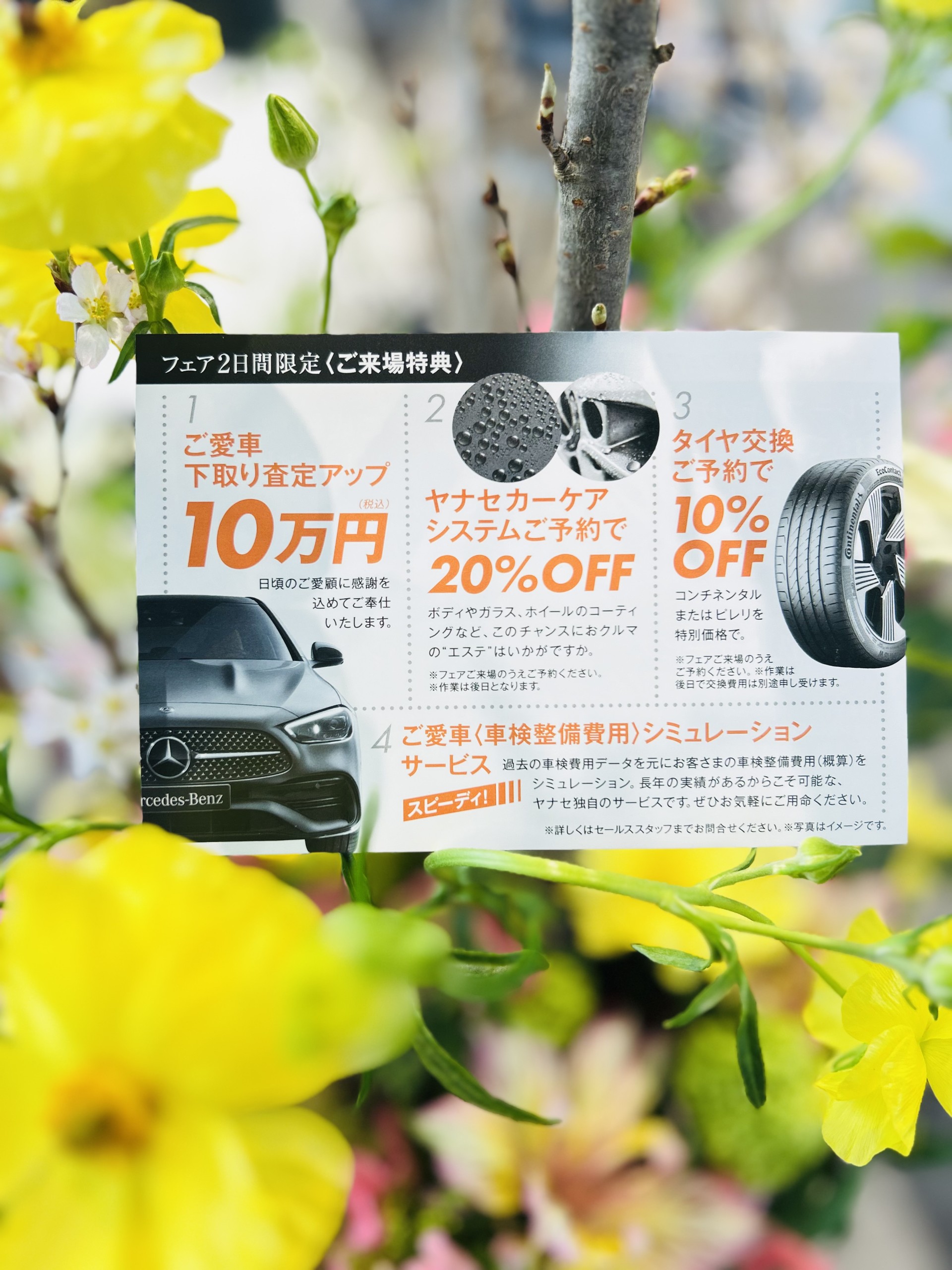お知らせ | メルセデス・ベンツ松戸 | 株式会社ヤナセ