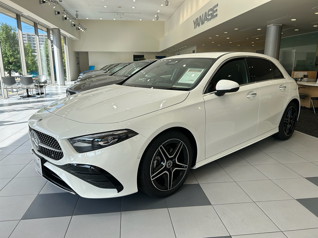 Tekno メルセデス・ベンツ 0302 950 Tekno メルセデス・ベンツ 0302 950 TEKNO Mercedes-Benz 0302